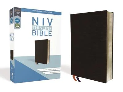 booksnthingswarehouse-11352537