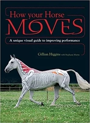 booksnthingswarehouse-11523270