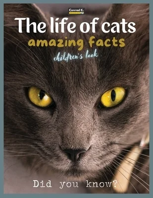 booksnthingswarehouse-11584437
