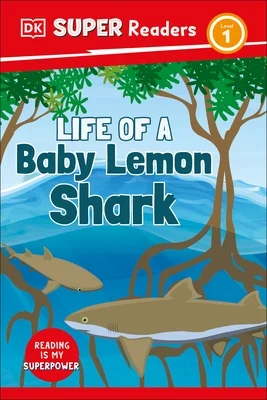 booksnthingswarehouse-11767120