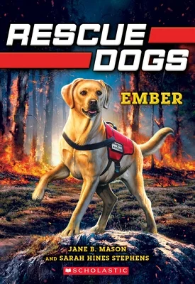 booksnthingswarehouse-12060457