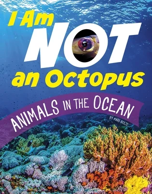 booksnthingswarehouse-21467783