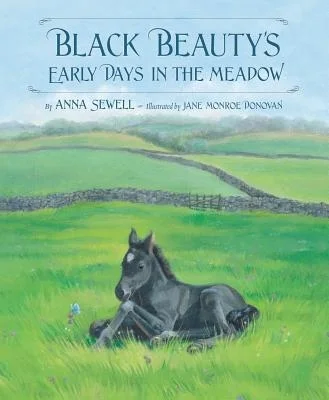 booksnthingswarehouse-21550849