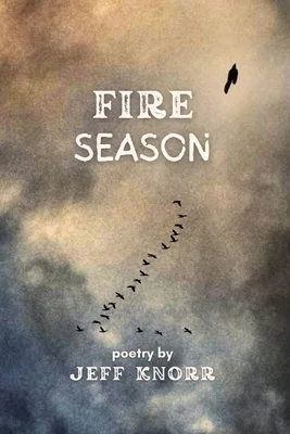 booksnthingswarehouse-21676670