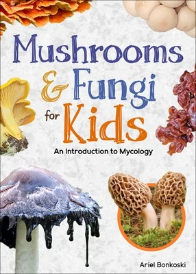 booksnthingswarehouse-21756898