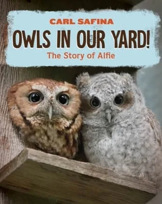 booksnthingswarehouse-22141058