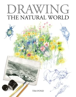 booksnthingswarehouse-31342722