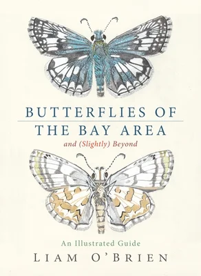 booksnthingswarehouse-31677243