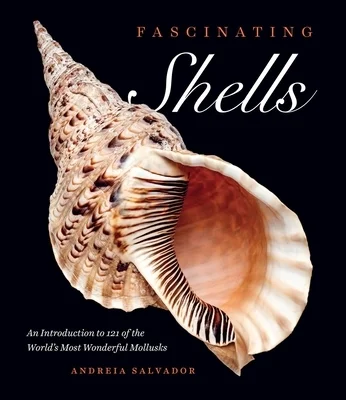 booksnthingswarehouse-31795386