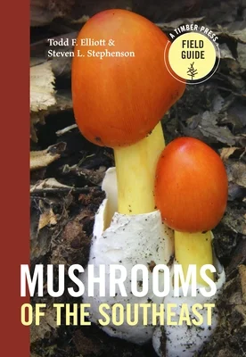 booksnthingswarehouse-32051812