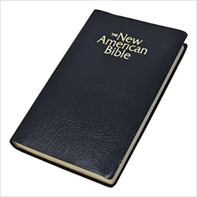 booksnthingswarehouse-32113234