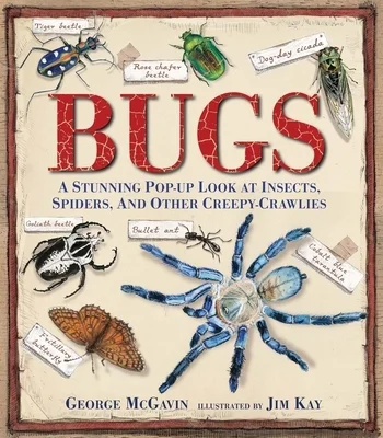 booksnthingswarehouse-32118700