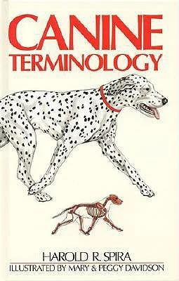 booksnthingswarehouse-32181665