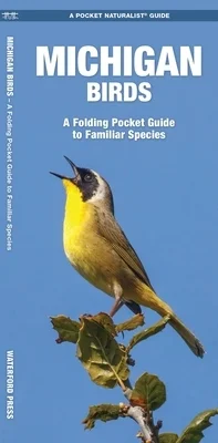 booksnthingswarehouse-41333244
