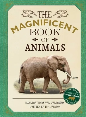 booksnthingswarehouse-41341495