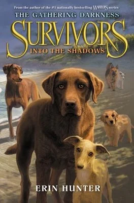 booksnthingswarehouse-41396059