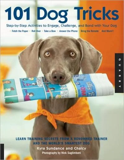 booksnthingswarehouse-41406414