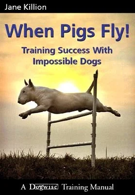 booksnthingswarehouse-41553683