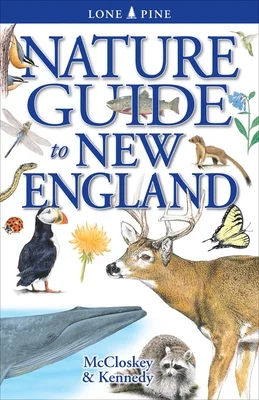 booksnthingswarehouse-41924101