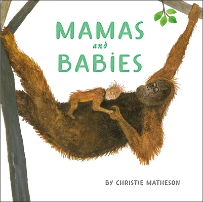 booksnthingswarehouse-42124022