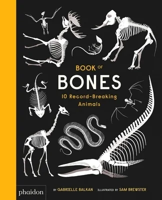 booksnthingswarehouse-42200753