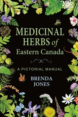 booksnthingswarehouse1218735