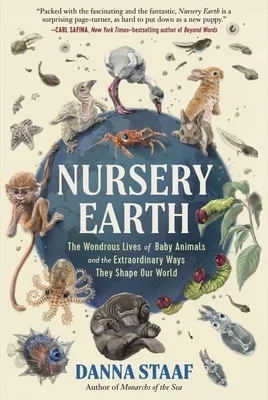 booksnthingswarehouse1256407