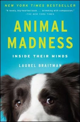 booksnthingswarehouse1535361