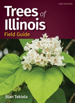 booksnthingswarehouse1568580