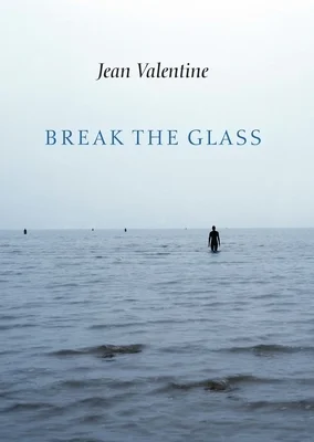 booksnthingswarehouse920578