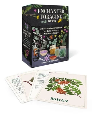 flowerburst-21122685