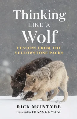 flowerburst1014482