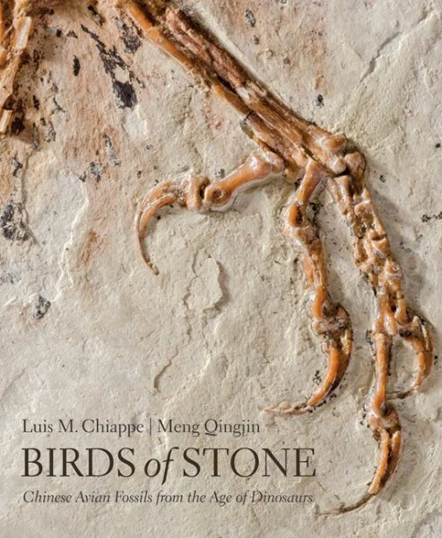 massivebookshop-31451640