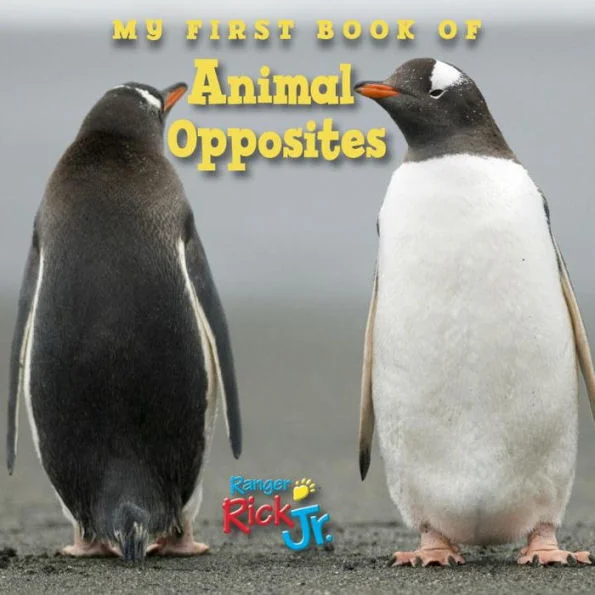 massivebookshop-42442558