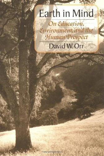 roundaboutbookstore-11384181