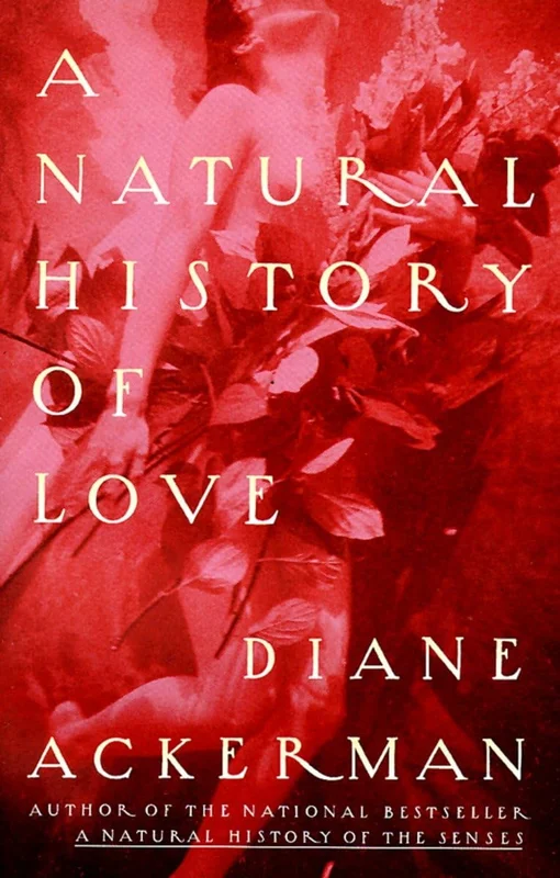 roundaboutbookstore-11385090