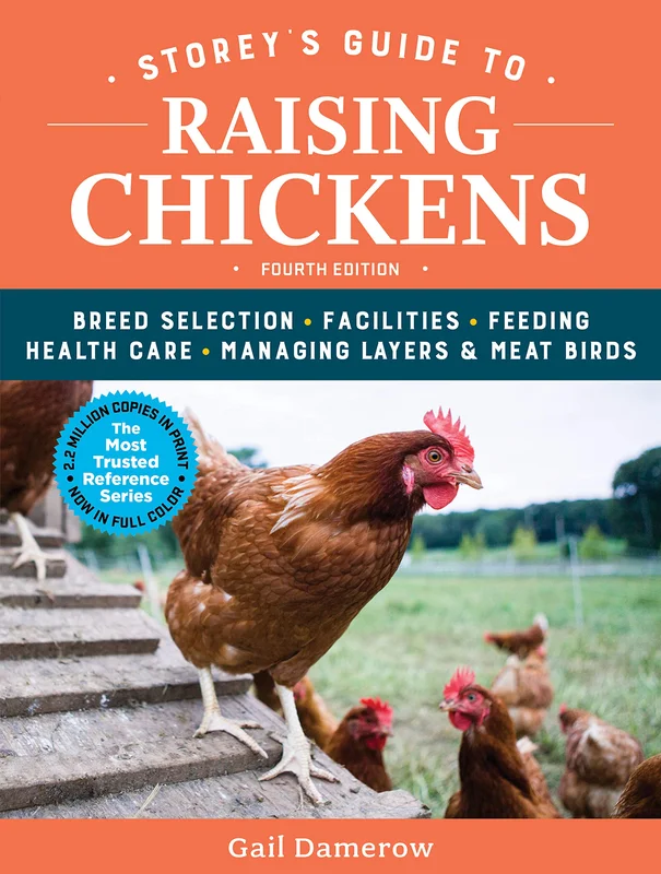 roundaboutbookstore-11622592
