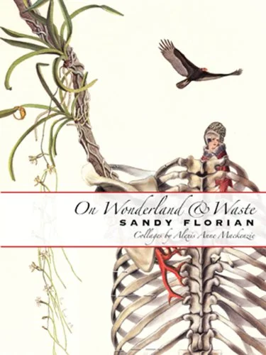 roundaboutbookstore-11629198