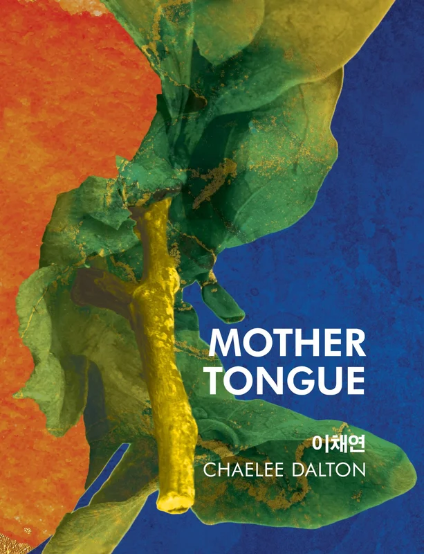 roundaboutbookstore-11629556