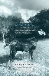 roundaboutbookstore-11635349
