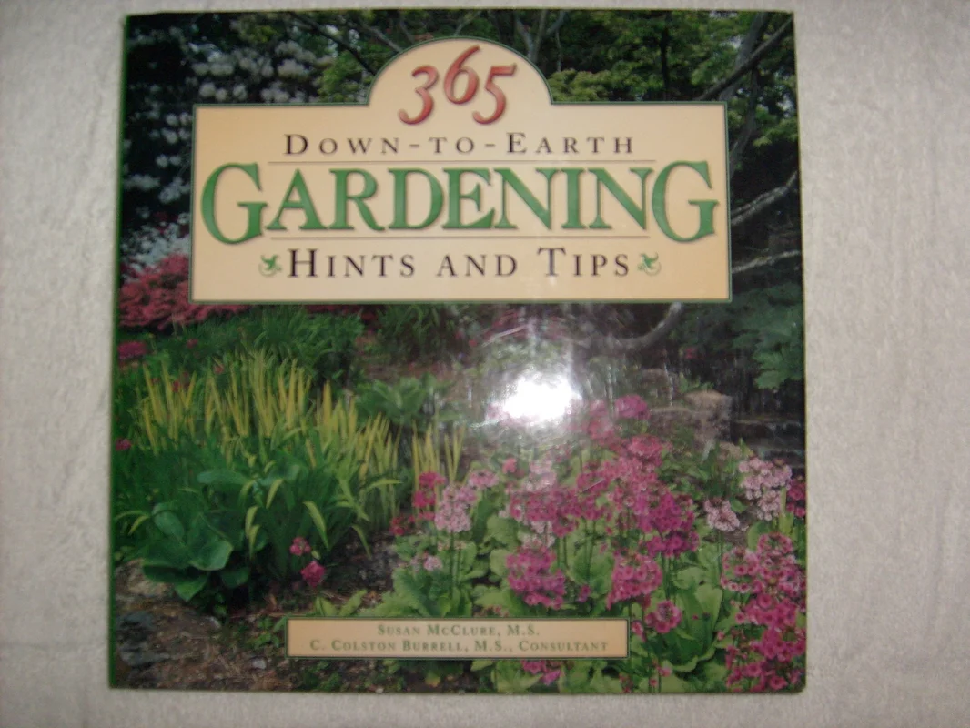 roundaboutbookstore-11635711
