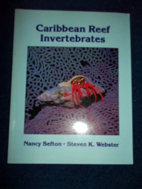 roundaboutbookstore-11650233
