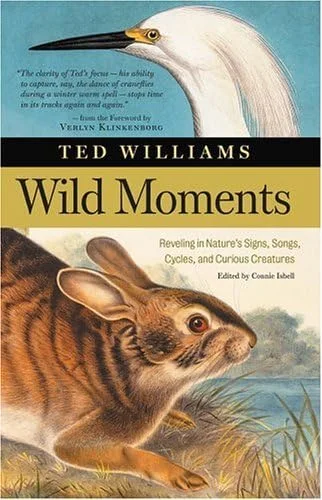 roundaboutbookstore-11659490