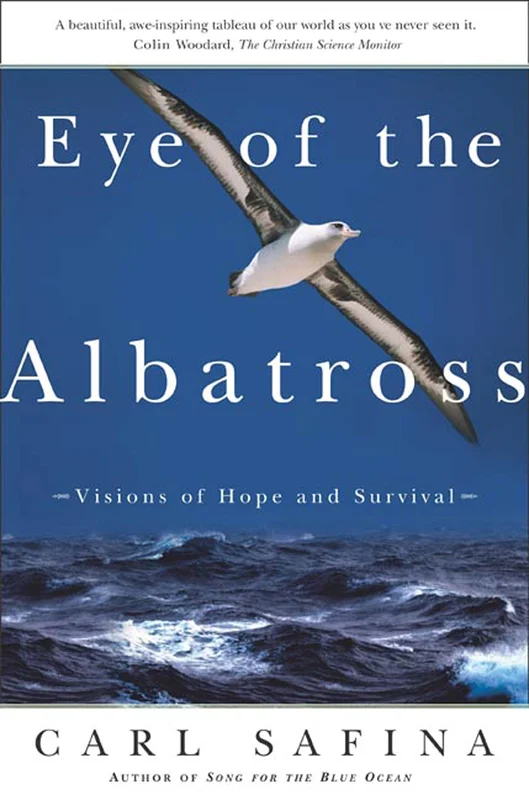 roundaboutbookstore-11659643
