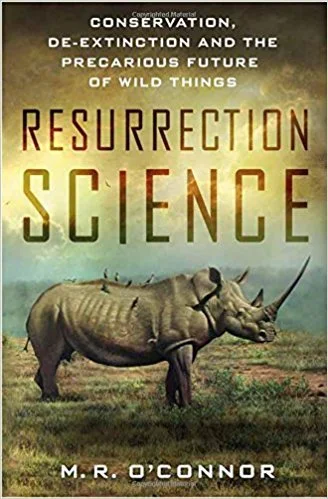 roundaboutbookstore-11665587