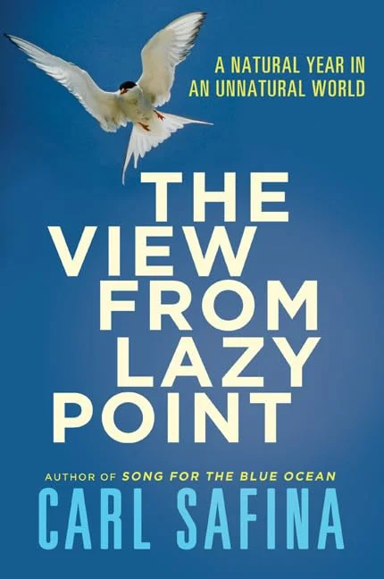roundaboutbookstore-11745477
