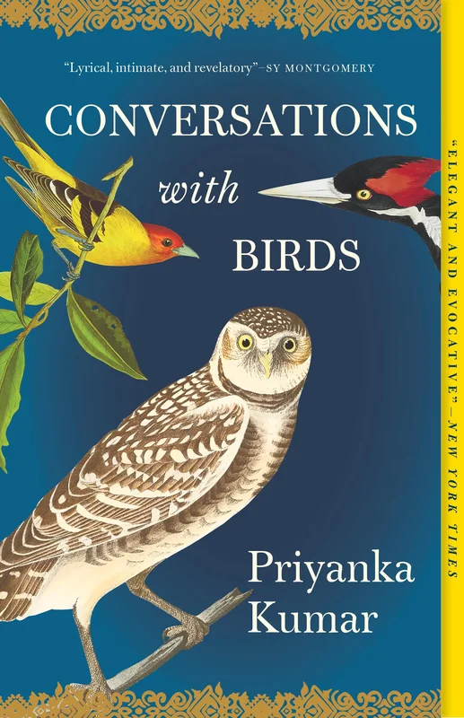 roundaboutbookstore-11814133