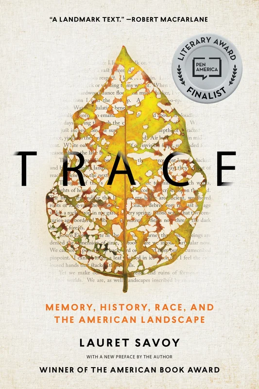 roundaboutbookstore-11878646