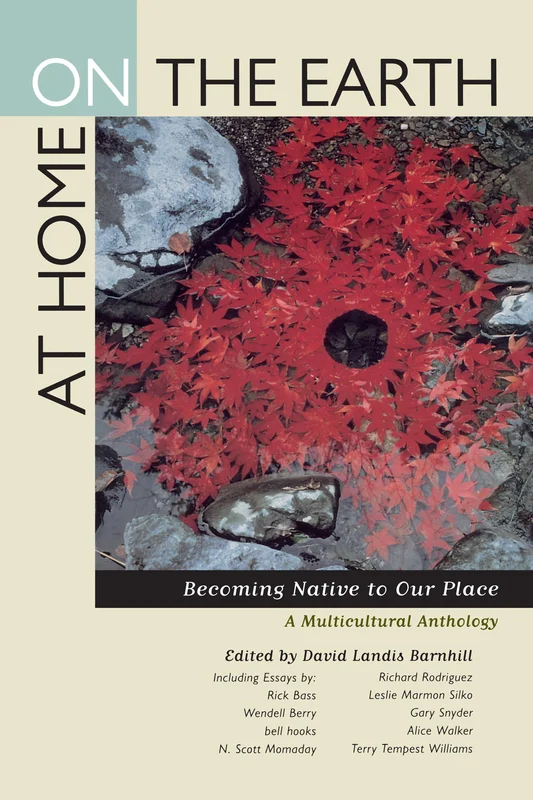 roundaboutbookstore-11878939