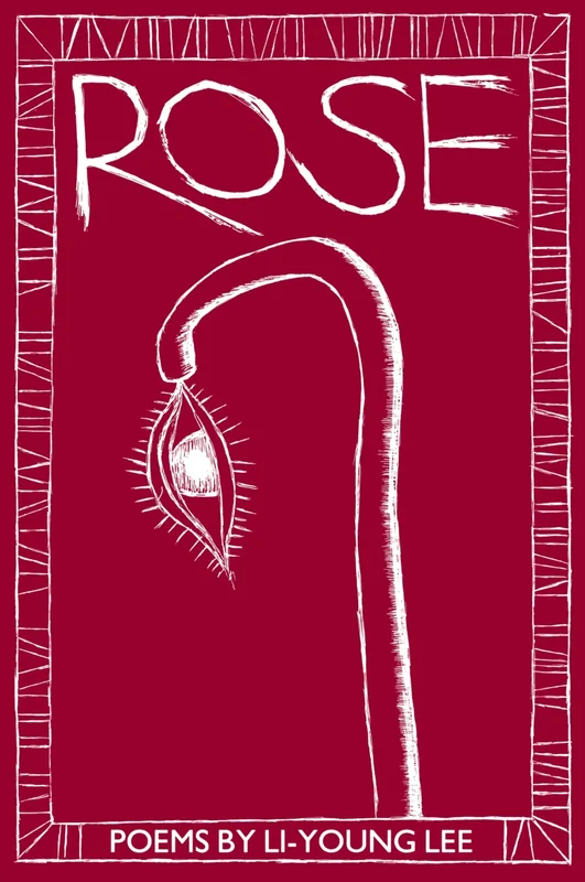 roundaboutbookstore-11885302